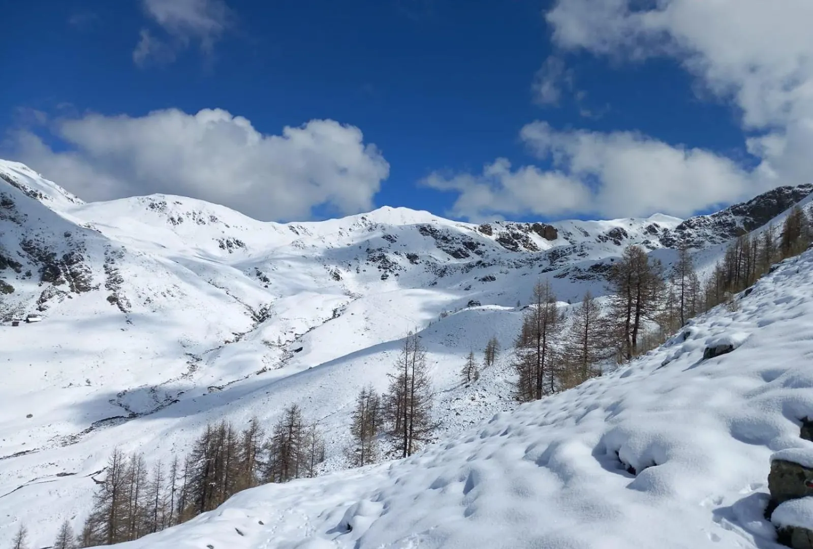 Апартаменты Tres Agreable 2 Pieces Au Pied Des Pistes Вальдеблор Франция